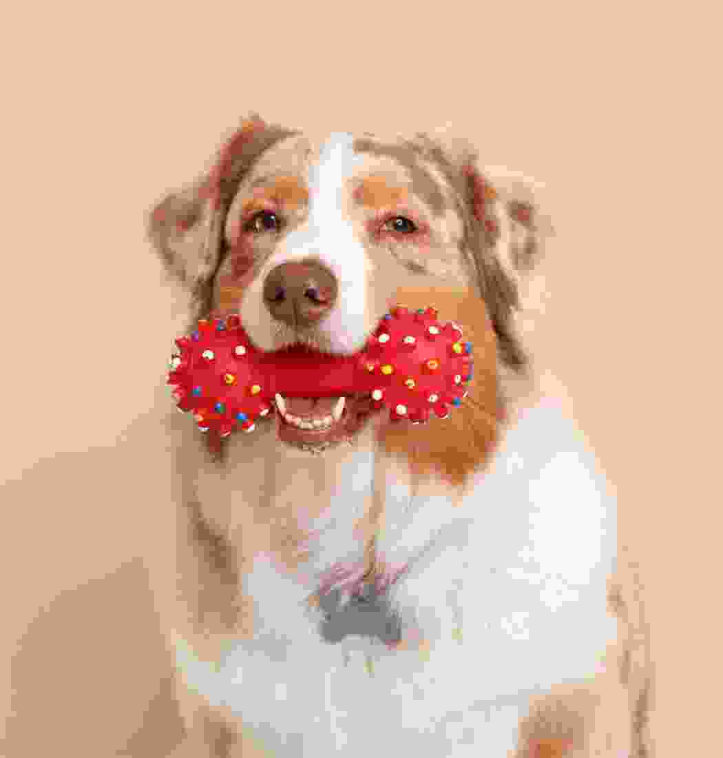 Shop Secondary Image