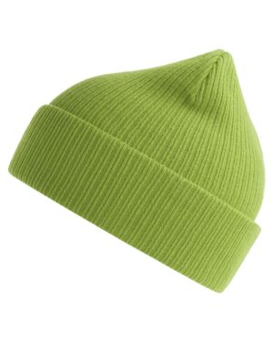 Atlantis Headwear Sustainable Cuffed Beanie - Image 9