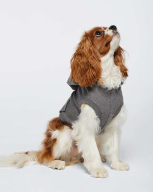 Doggie Skins Doggie 3-End Fleece Hooded Sweatshirt - Image 7