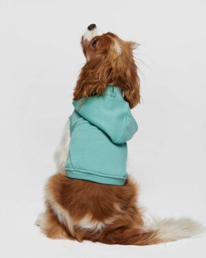 Doggie Skins Doggie 3-End Fleece Hooded Sweatshirt - Image 20