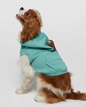 Doggie Skins Doggie 3-End Fleece Hooded Sweatshirt - Image 19