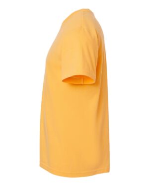 Comfort Colors Unisex Garment-Dyed Heavyweight T-Shirt - Image 54