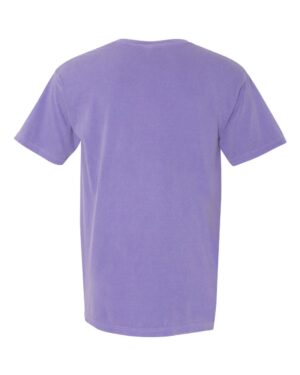 Comfort Colors Unisex Garment-Dyed Heavyweight T-Shirt - Image 242