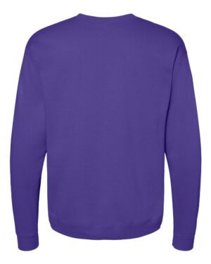Hanes Unisex EcoSmart® Crewneck Sweatshirt - Image 118
