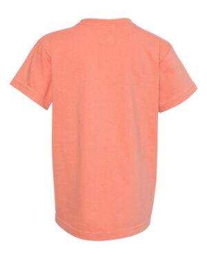 Comfort Colors Youth Garment-Dyed Heavyweight T-Shirt - Image 71
