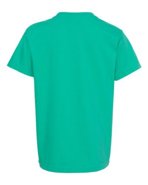 Comfort Colors Youth Garment-Dyed Heavyweight T-Shirt - Image 44